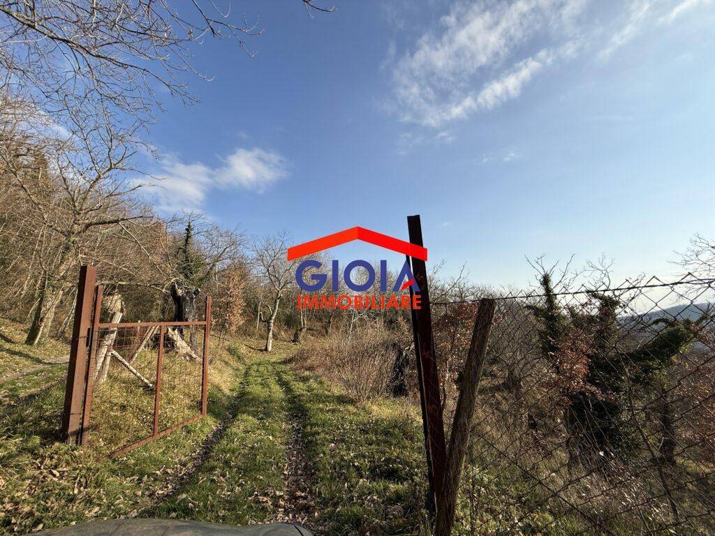 Terreno a Roccamonfina in roccamonfina - Foto 4