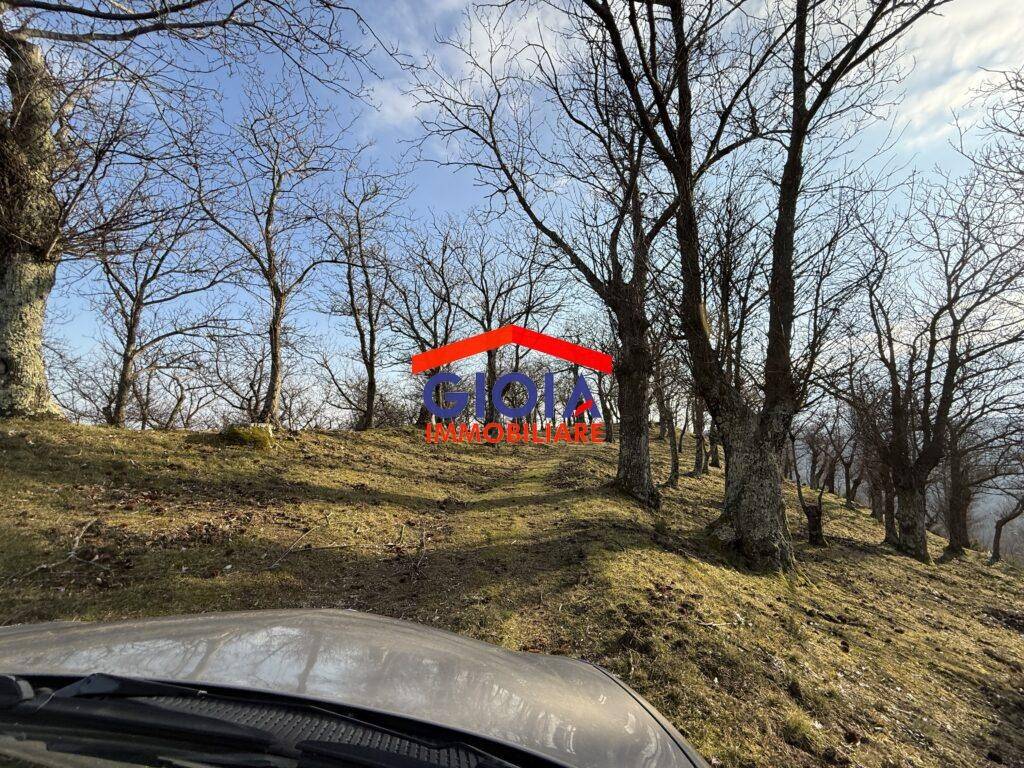 Terreno a Roccamonfina in roccamonfina - Foto 5