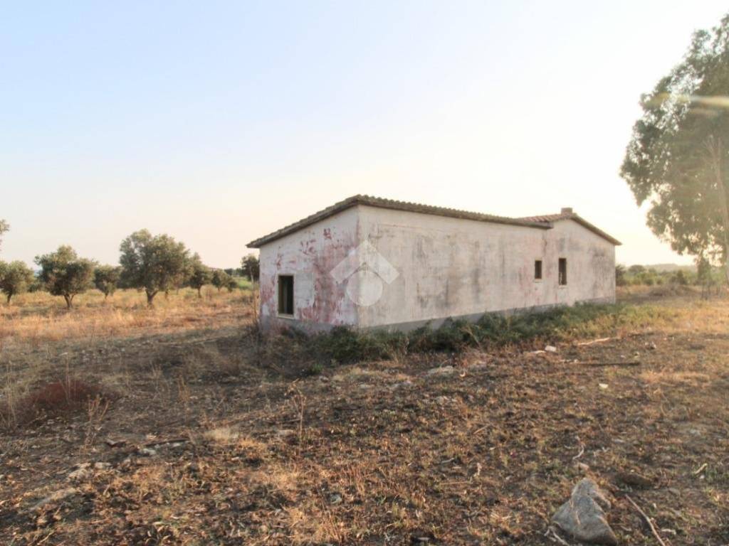 Terreno a Isola di capo rizzuto in Contrada Anastasi - Foto 2