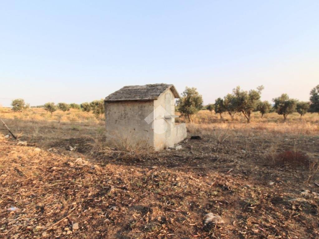 Terreno a Isola di capo rizzuto in Contrada Anastasi - Foto 4