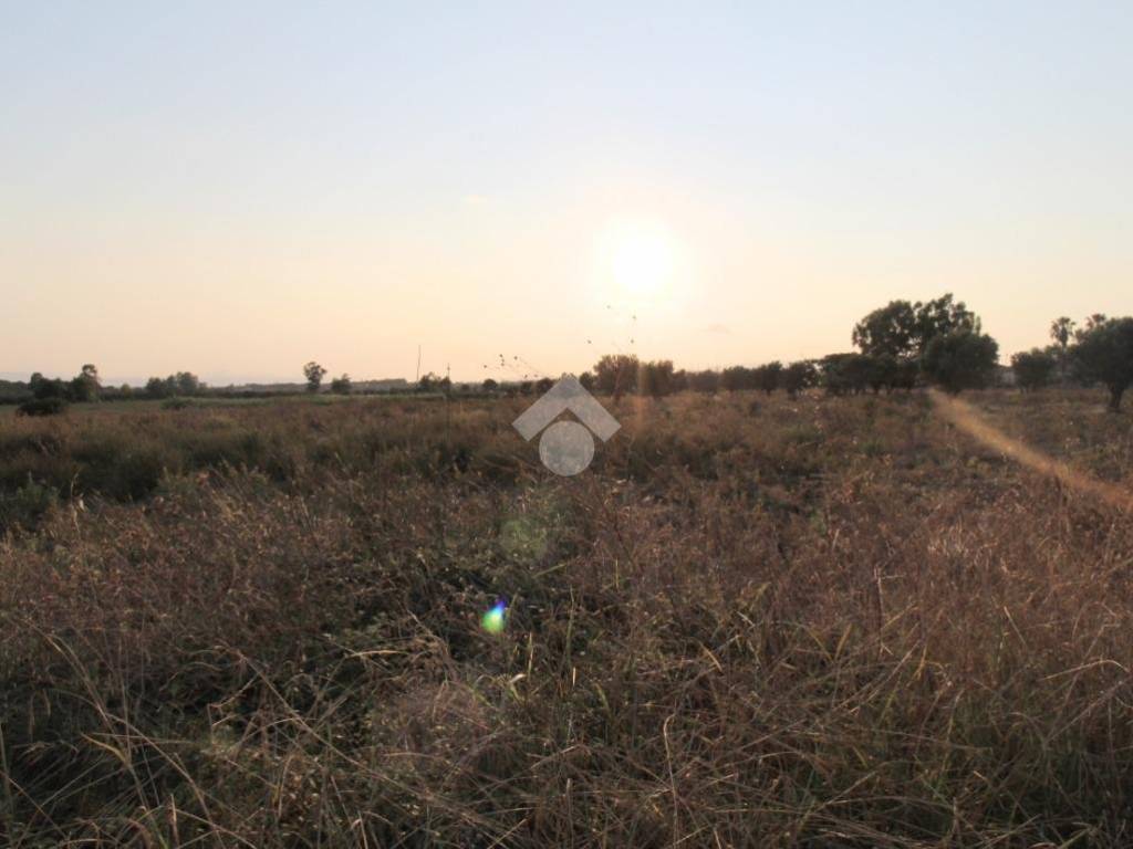 Terreno a Isola di capo rizzuto in Contrada Anastasi - Foto 5