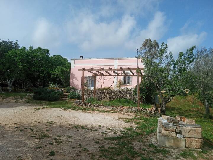 Rustico / casale a Ceglie messapica in SP16 - Foto 3