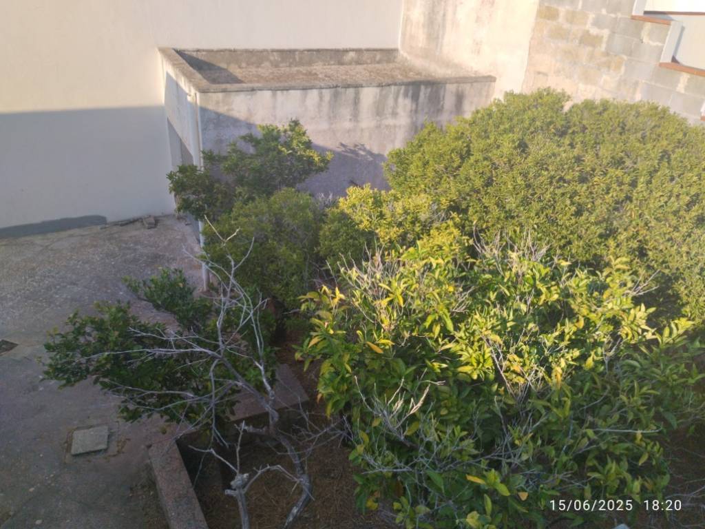 Casa indipendente a Presicce-acquarica in Via Giuseppe Mazzini - Foto 5