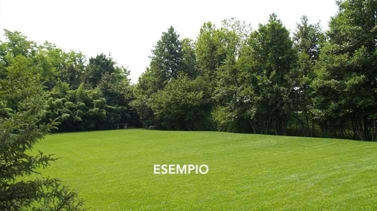 Terreno a Castelnuovo rangone in Via Primo Levi - Foto 2