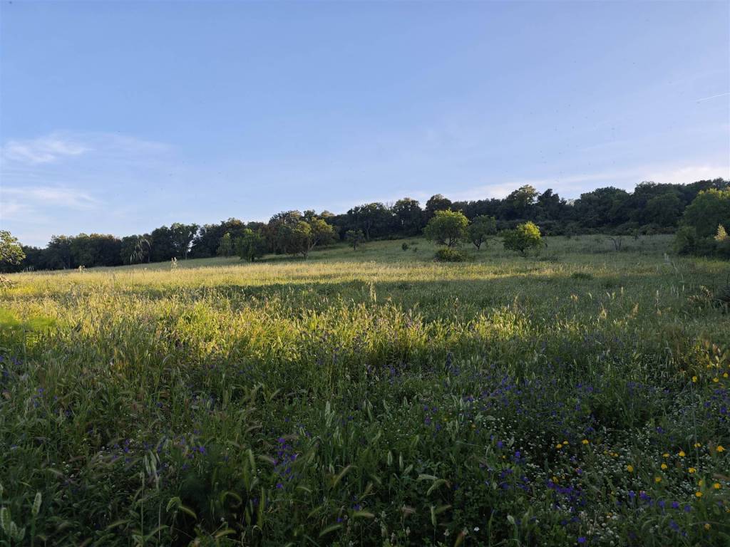 Terreno a Bari sardo - Foto 4