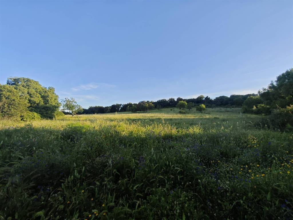 Terreno a Bari sardo - Foto 5