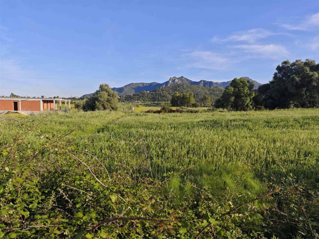 Terreno a Cardedu - Foto 2