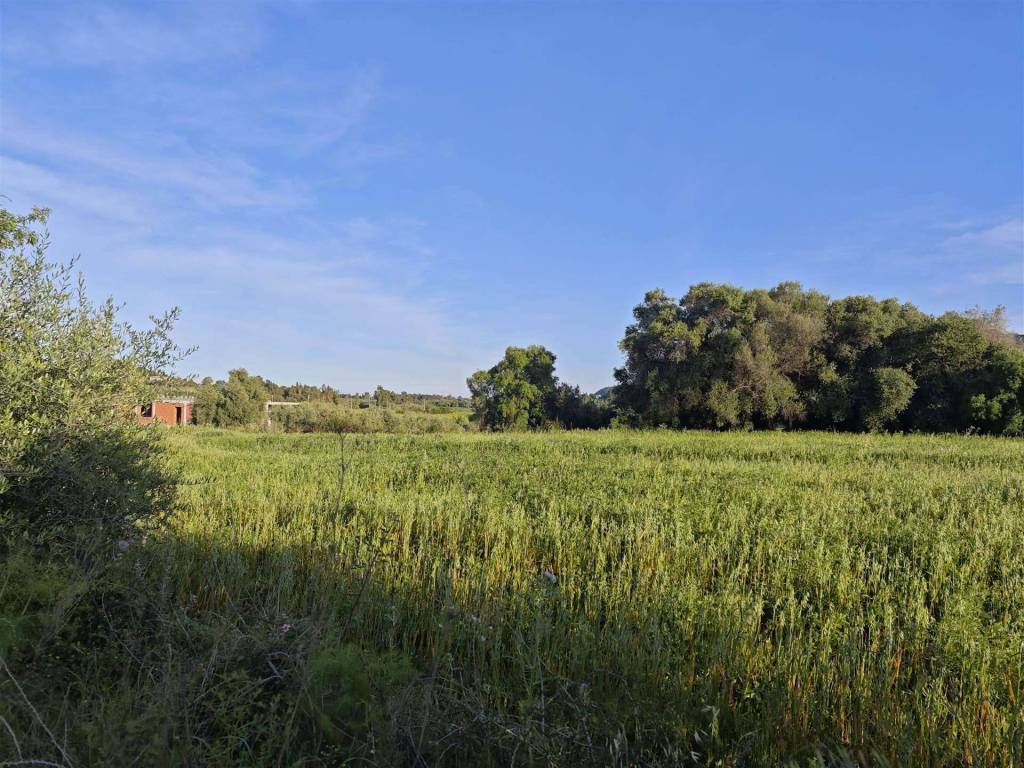 Terreno a Cardedu - Foto 4