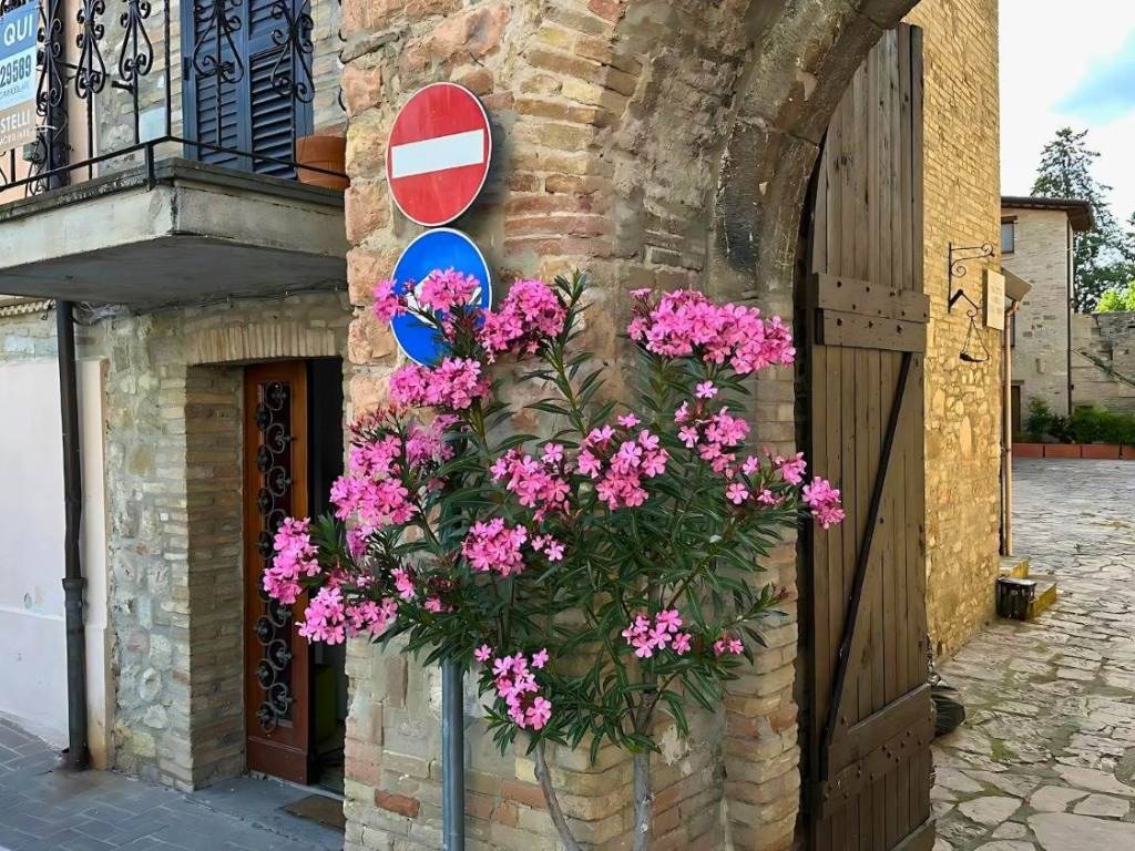 Casa indipendente a Assisi in Piazza dei Caduti - Foto 4