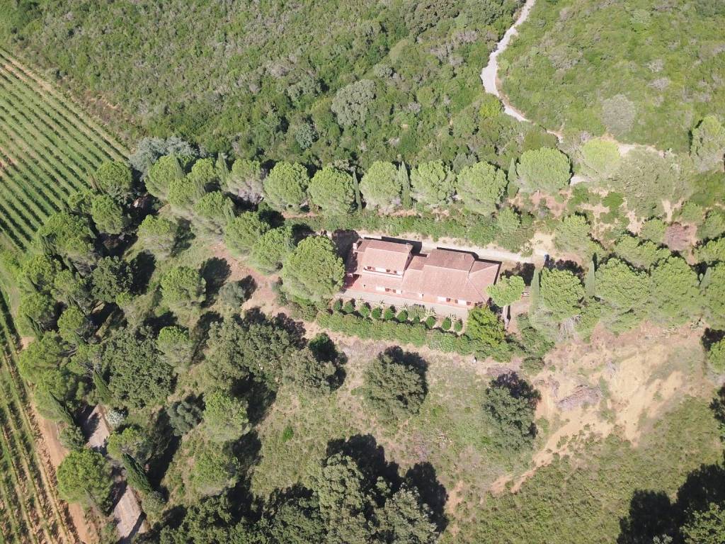 Rustico / casale a Castiglione della pescaia - Foto 2