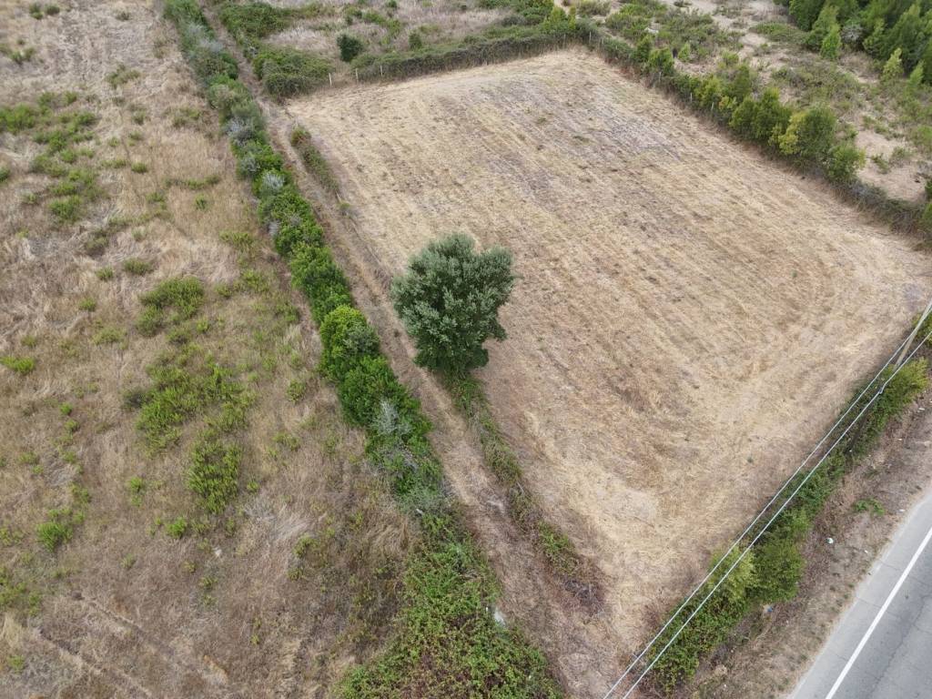Terreno a Tortolì in Strada per Orrì, sn - Foto 5