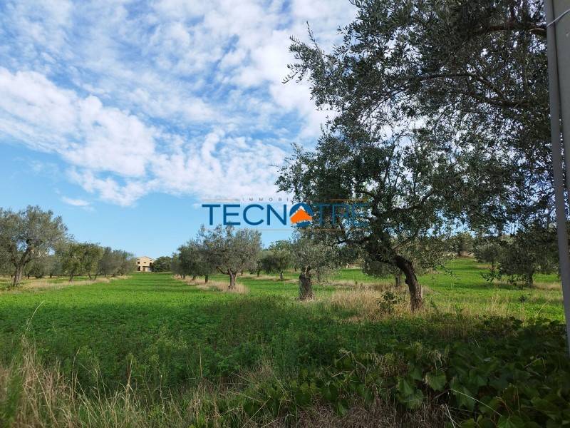 Terreno a Controguerra in Contrada San Venanzo - Foto 2