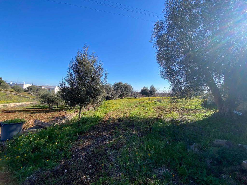 Rustico / casale a Martina franca in Strada Ferrari - Foto 3