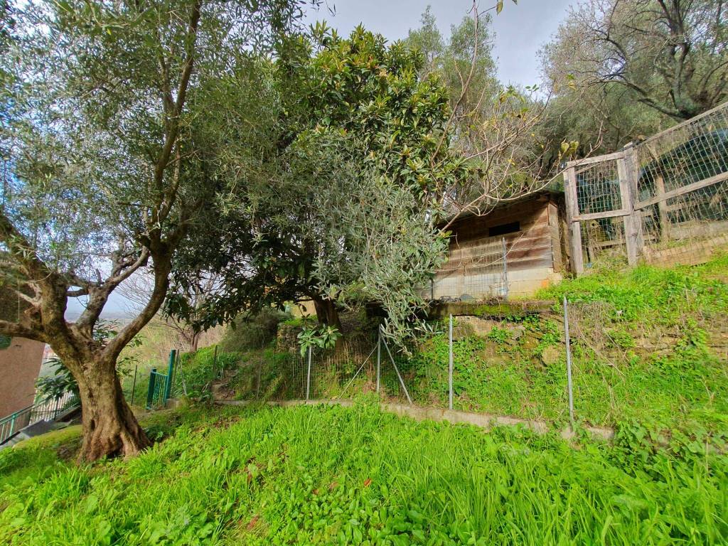 Casa indipendente a Pietrasanta - Foto 5