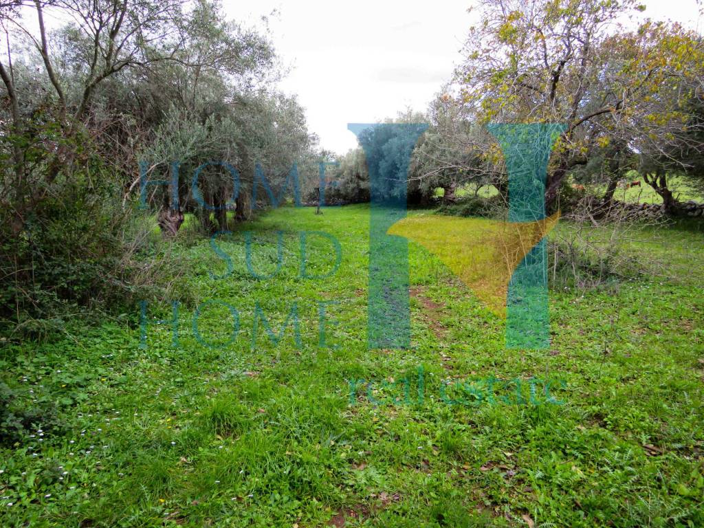 Rustico / casale a Noto in Via Tommaso Fazello, 228 - Foto 2