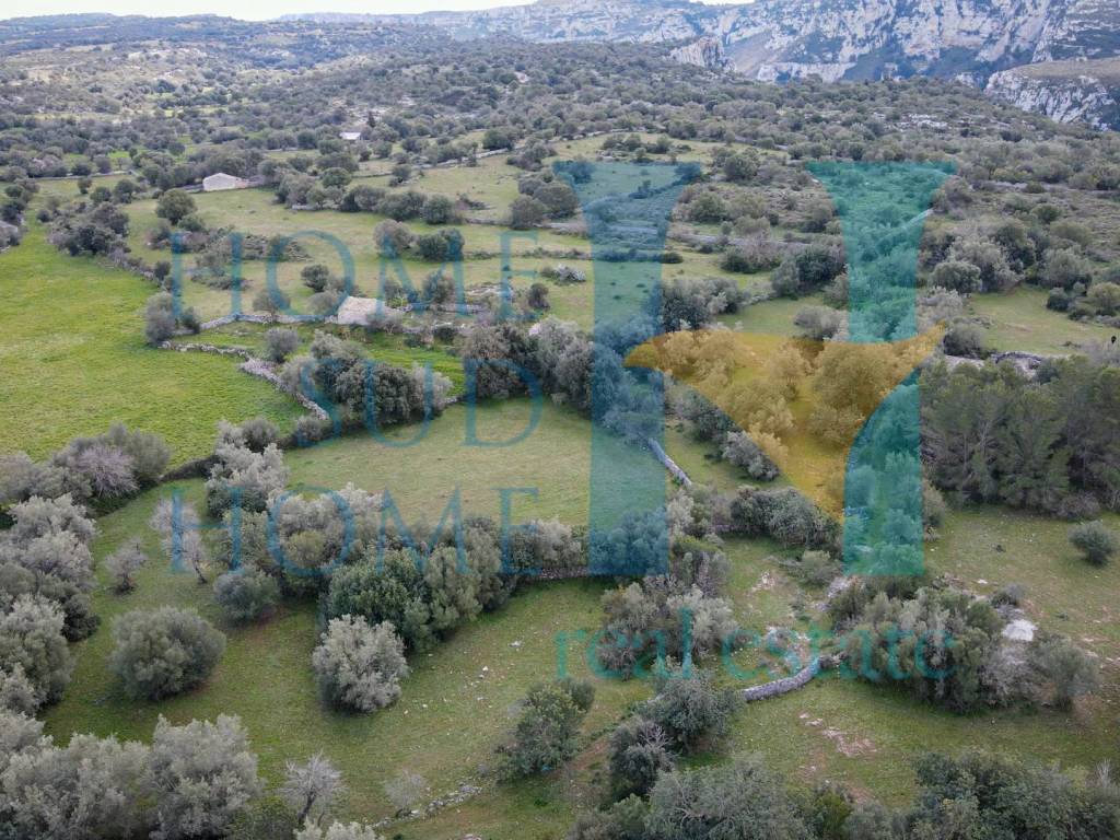 Rustico / casale a Noto in Via Tommaso Fazello, 228 - Foto 3