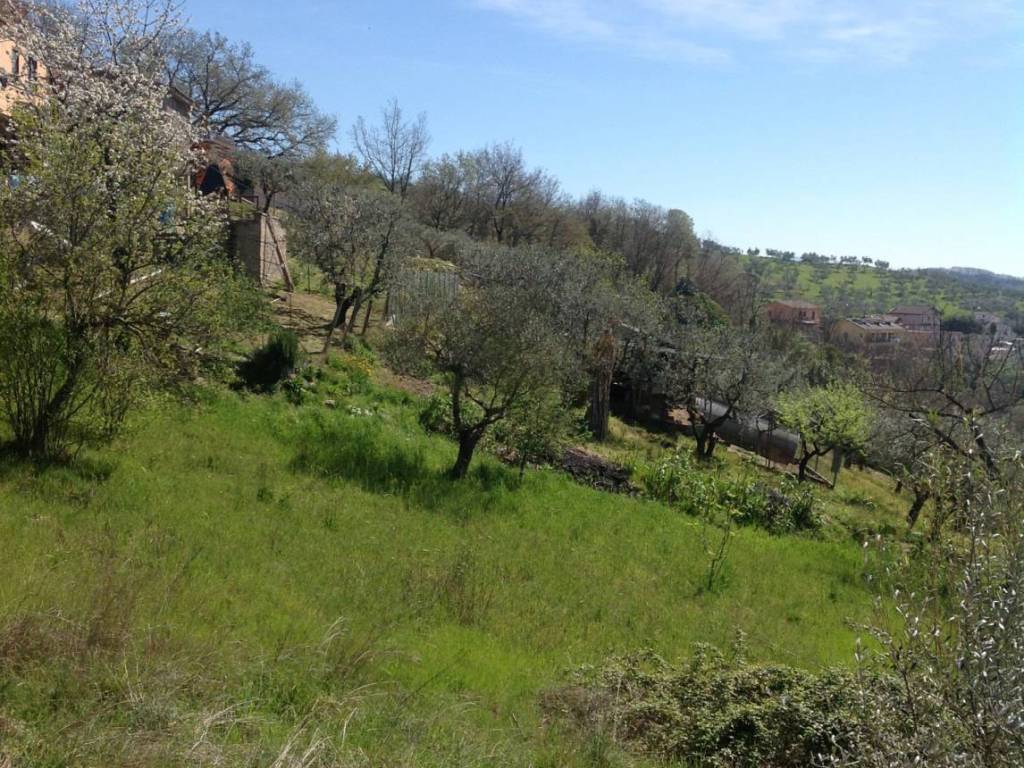 Villa a Paliano in Via San Procolo - Foto 5