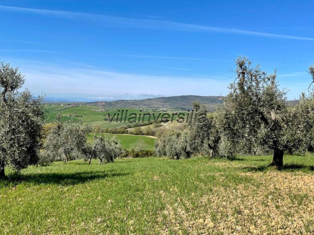 Terreno a Semproniano - Foto 2