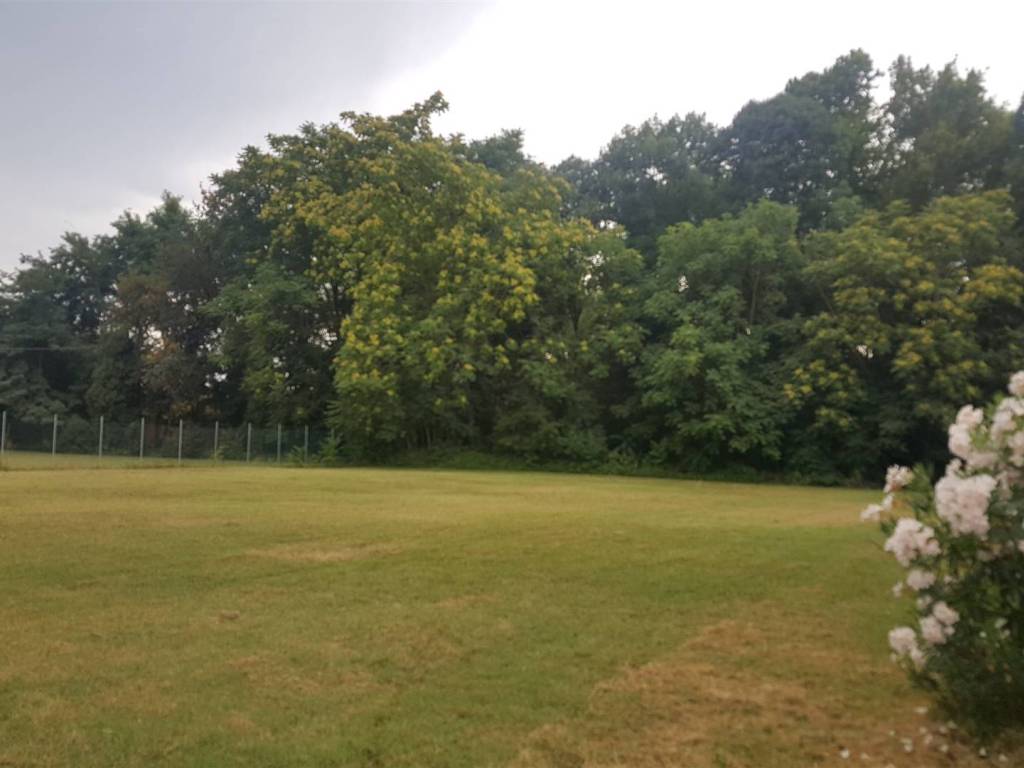 Terreno a Bomporto - Foto 4