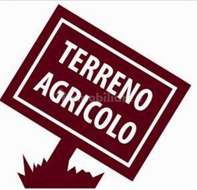 Terreno a Alessandria in Via Edoardo Bocchio, 34 - Foto 3