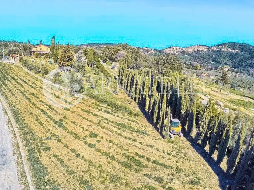 Rustico / casale a Campiglia marittima in Via di Venturina, 57021 Campiglia Marittima LI - Foto 5