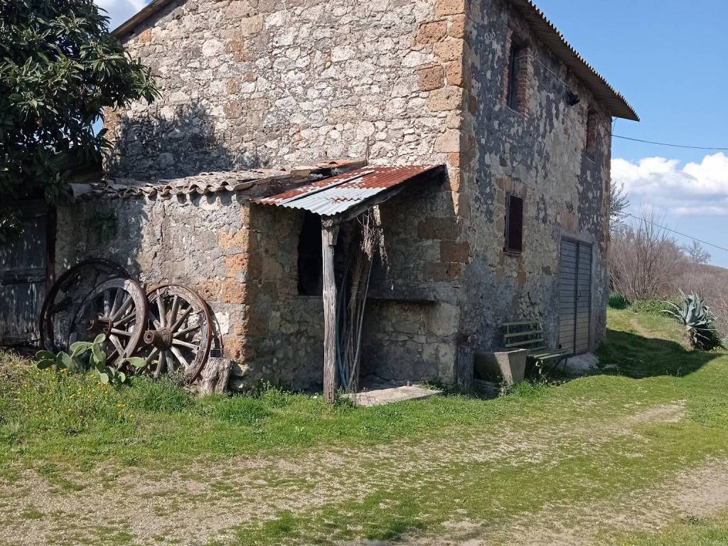 Rustico / casale a Civitella d'agliano in Località Vaiano - Foto 3