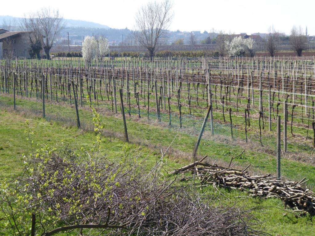 Rustico / casale a Brendola in Via Antonio Canova - Foto 4