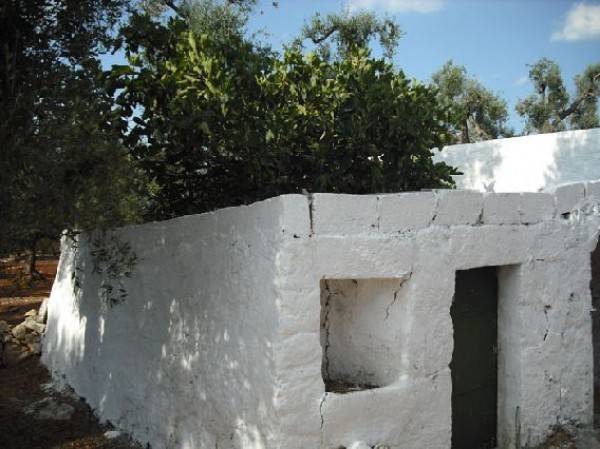 Rustico / casale a Ostuni in Contrada Macchia Grande - Foto 2