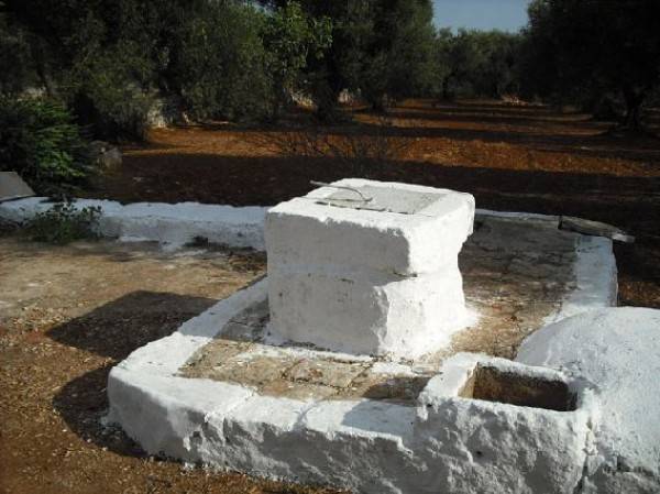 Rustico / casale a Ostuni in Contrada Macchia Grande - Foto 4