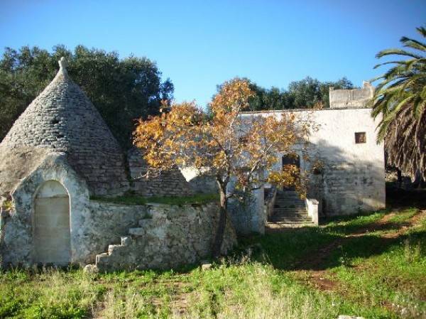 Rustico / casale a Ostuni in Contrada San Benedetto - Foto 2