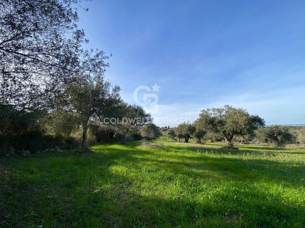 Terreno a Scicli in Contrada Catteto - Foto 3