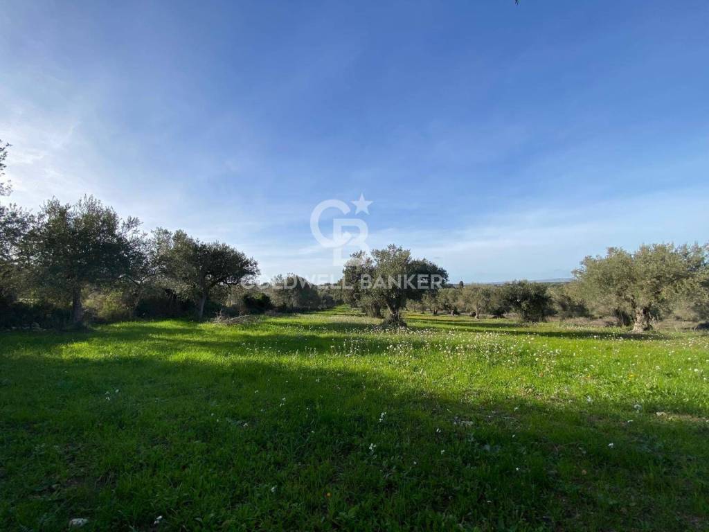 Terreno a Scicli in Contrada Catteto - Foto 4