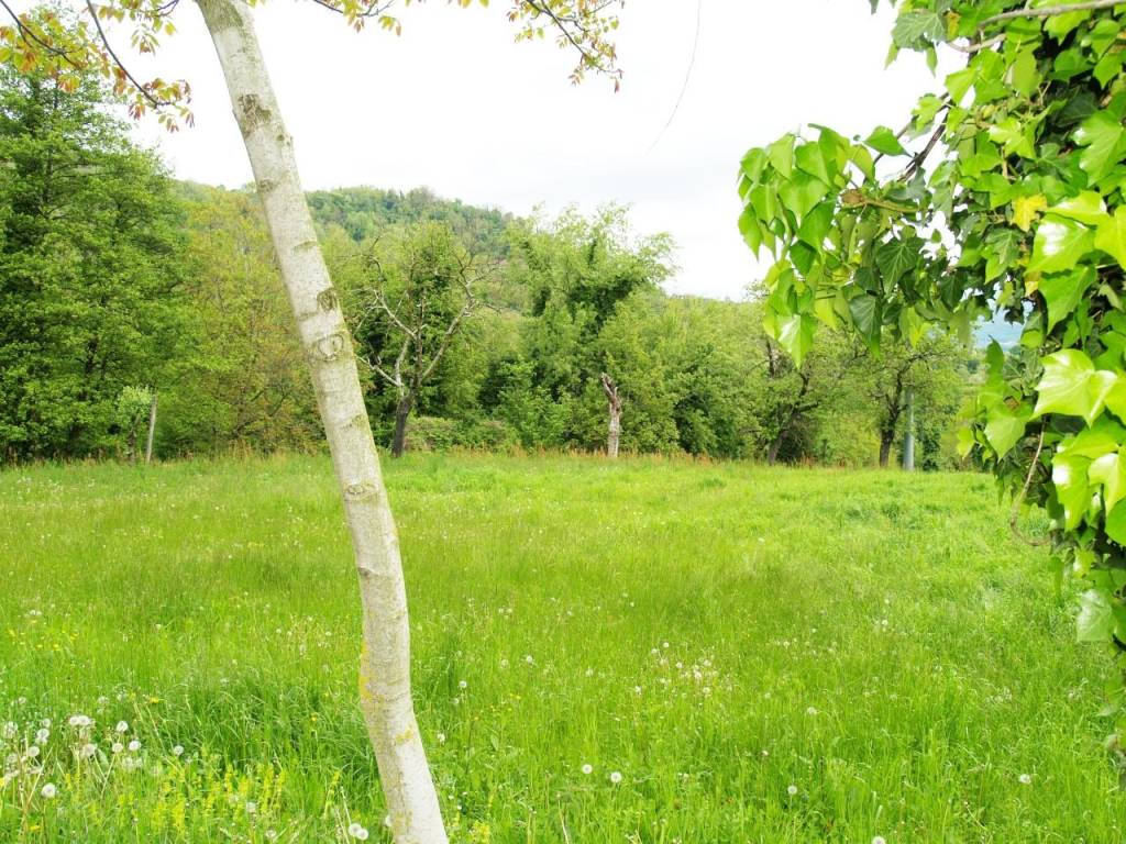 Terreno a Chiampo - Foto 3