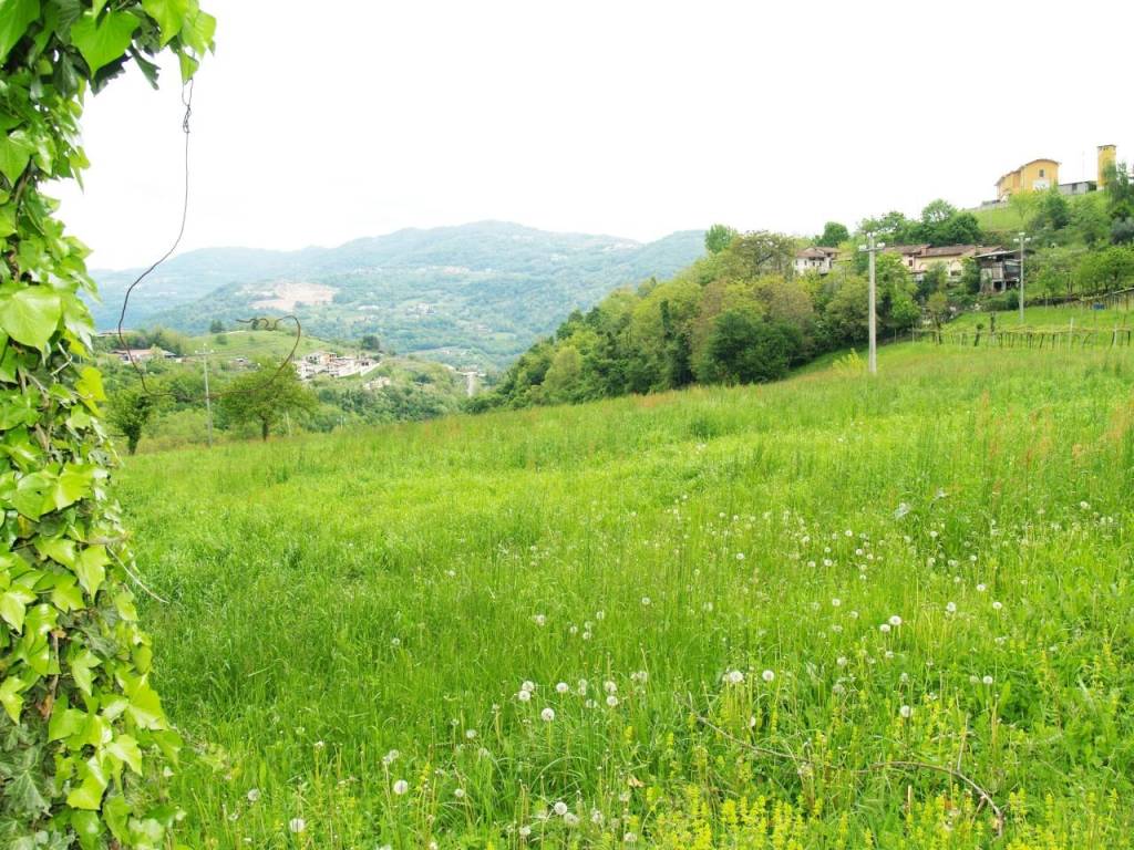 Terreno a Chiampo - Foto 4