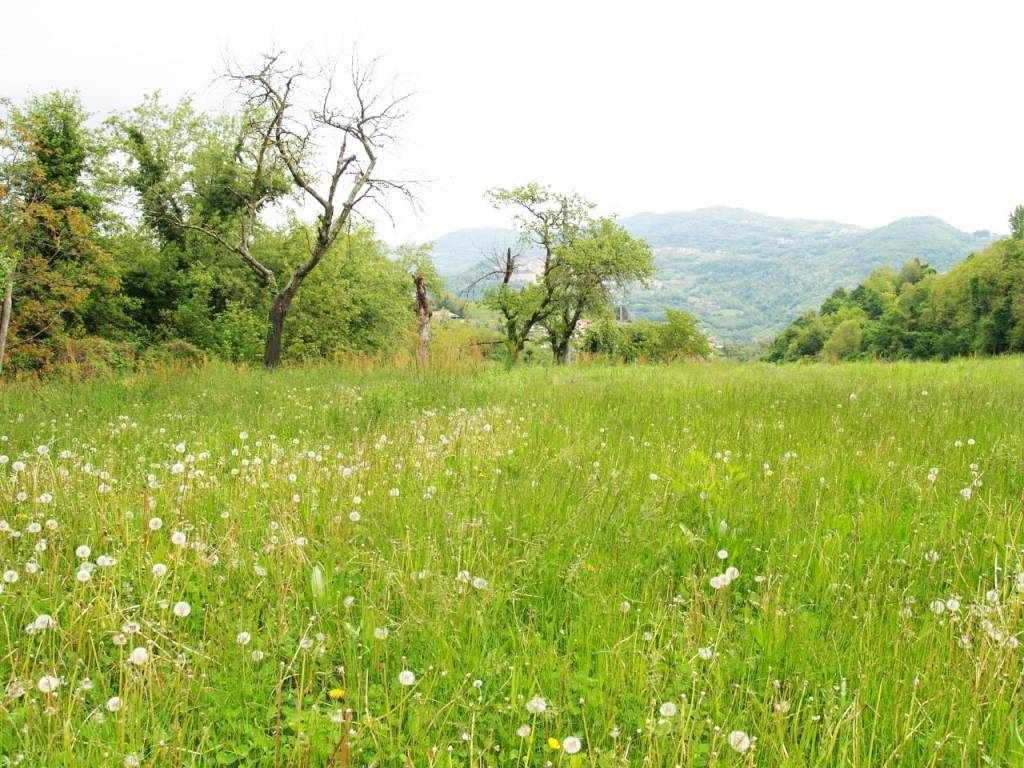 Terreno a Chiampo - Foto 5