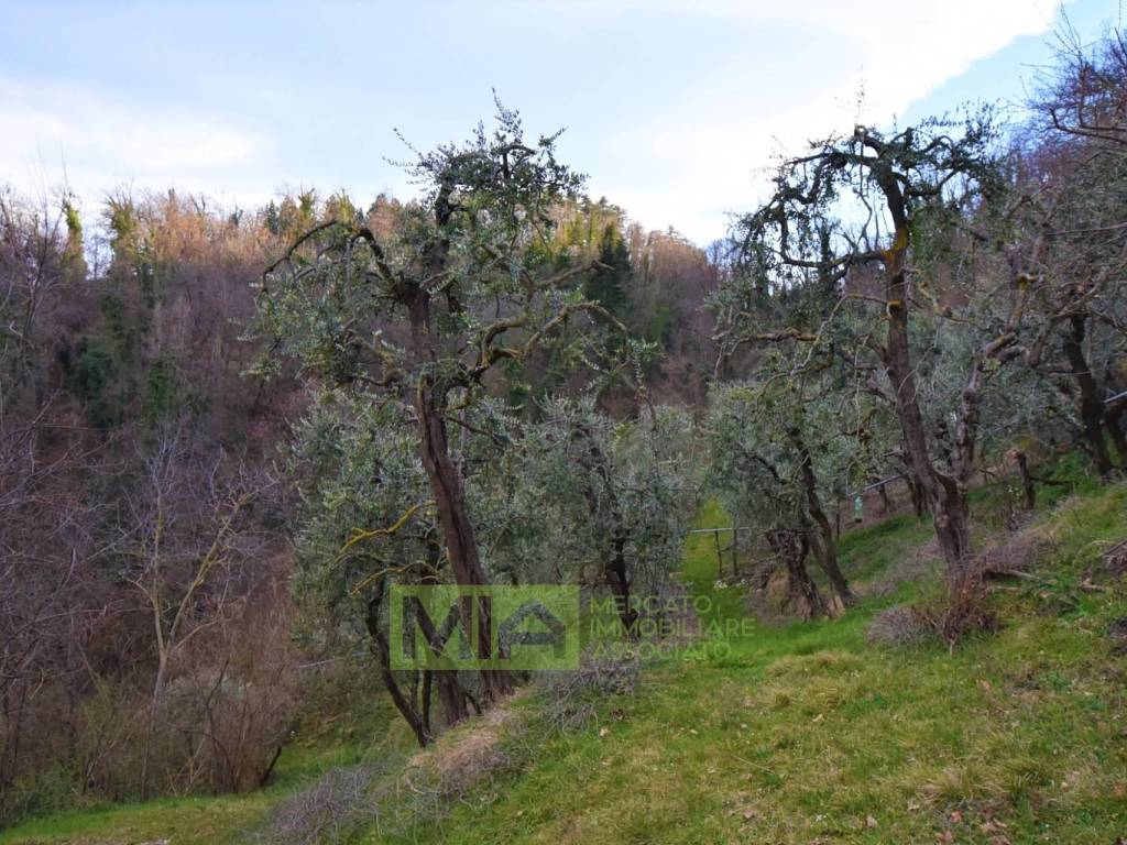 Rustico / casale a Santa vittoria in matenano in Contrada Poggio, 38 - Foto 2