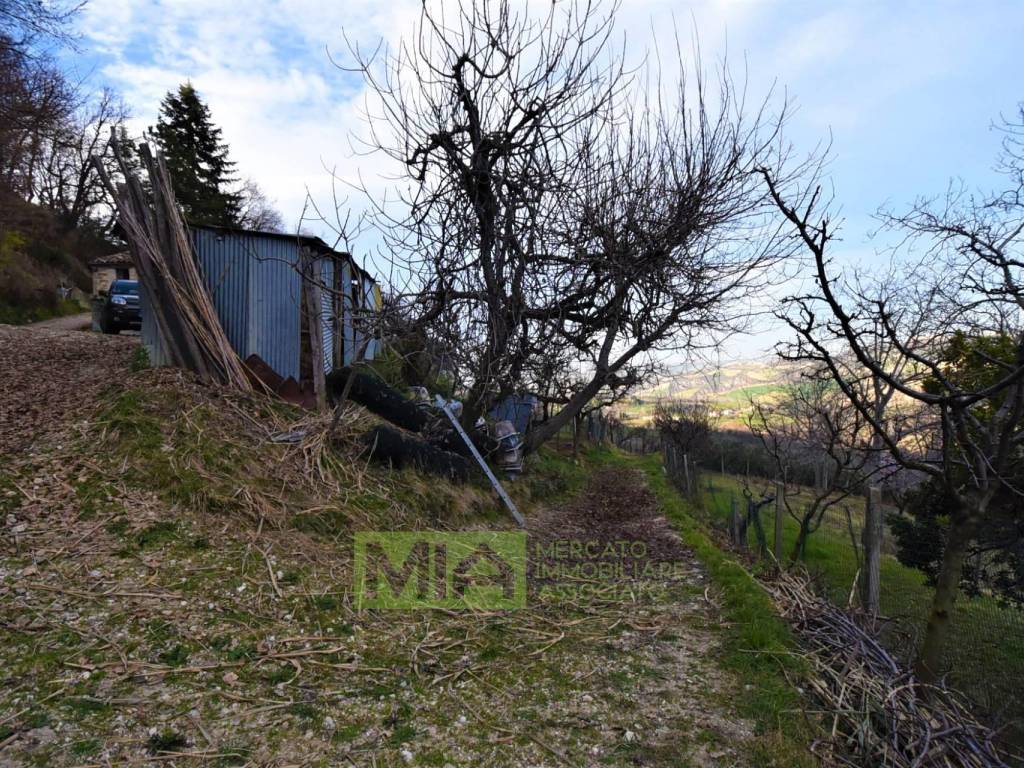 Rustico / casale a Santa vittoria in matenano in Contrada Poggio, 38 - Foto 4
