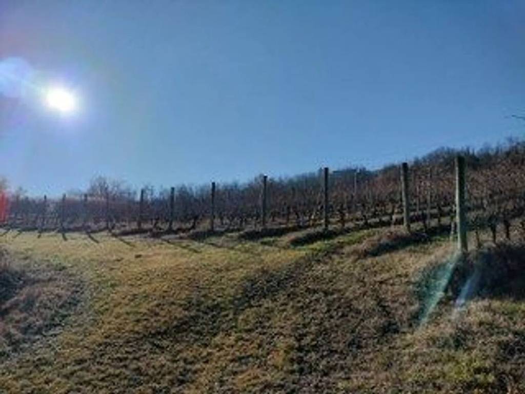 Rustico / casale a Monleale in Strada Provinciale Per San Sebastiano, 32 - Foto 4