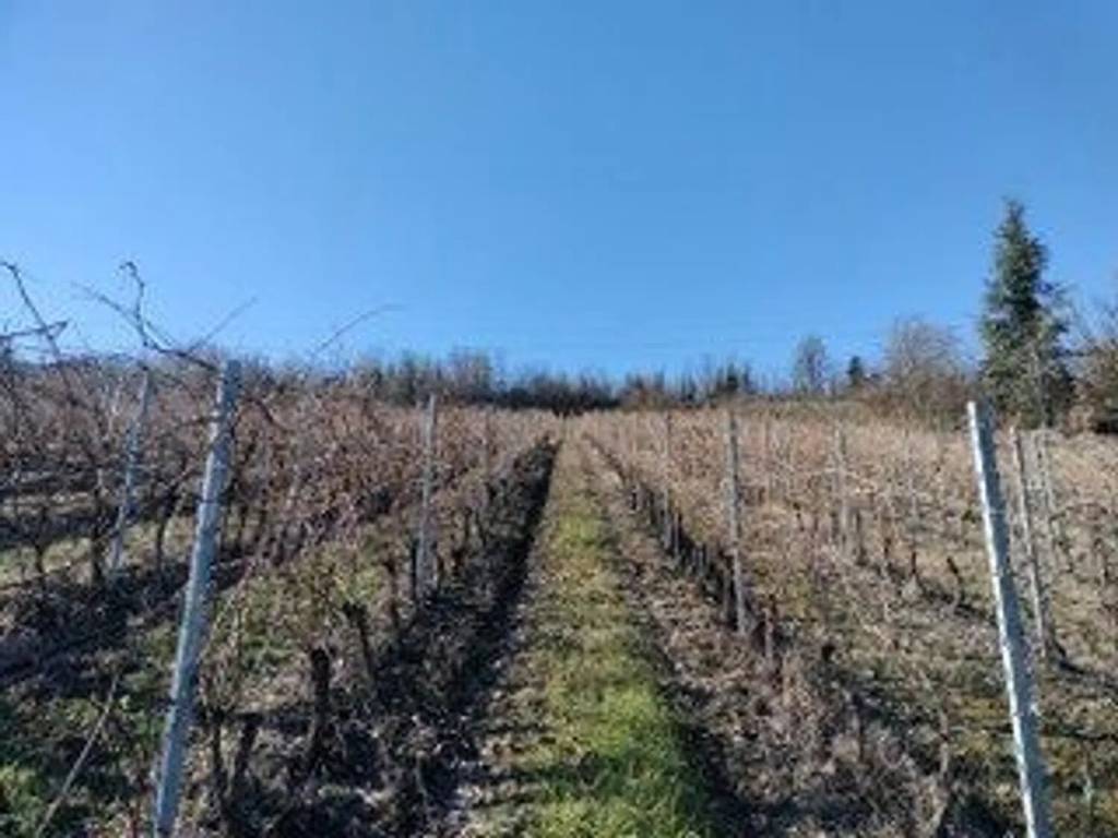 Rustico / casale a Monleale in Strada Provinciale Per San Sebastiano, 32 - Foto 5