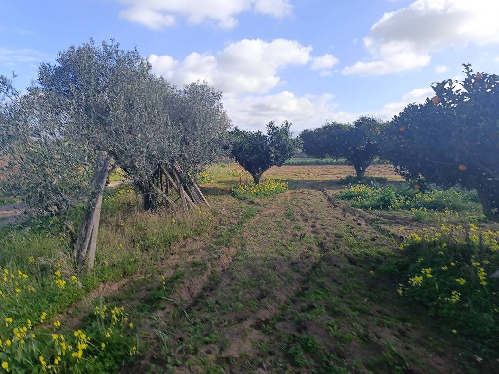 Terreno a Balestrate in contrada Candela - Foto 2
