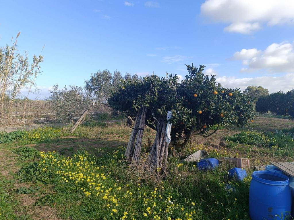 Terreno a Balestrate in contrada Candela - Foto 3
