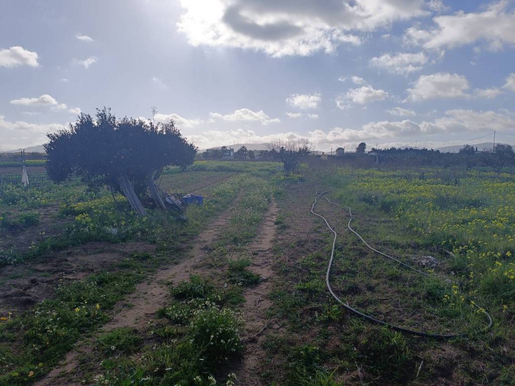 Terreno a Balestrate in contrada Candela - Foto 4