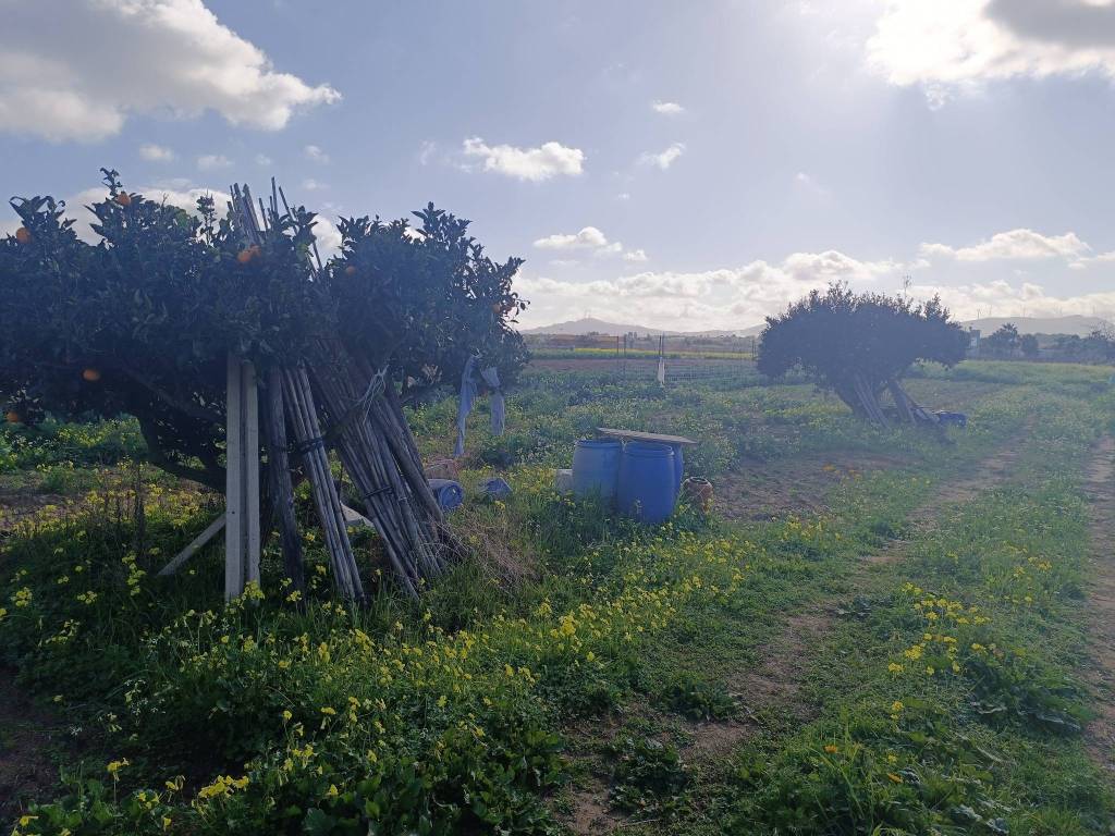 Terreno a Balestrate in contrada Candela - Foto 5