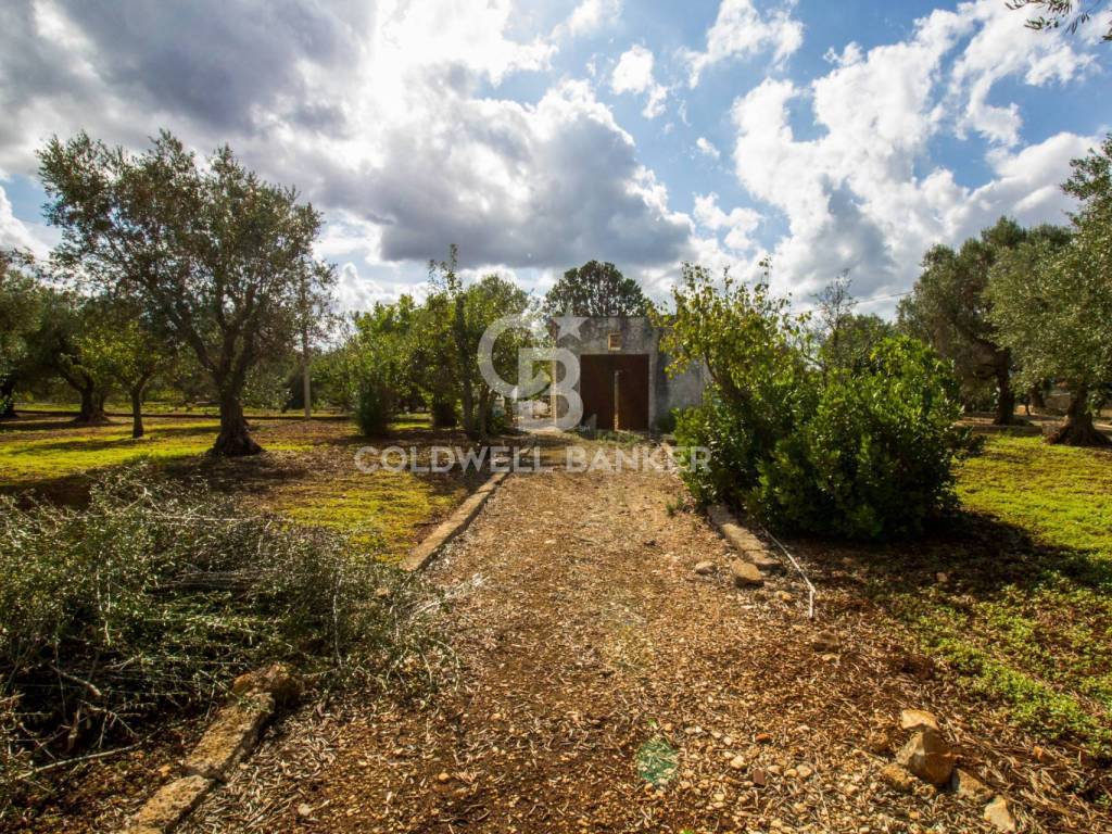 Rustico / casale a Ostuni in Contrada Casieddi - Foto 3