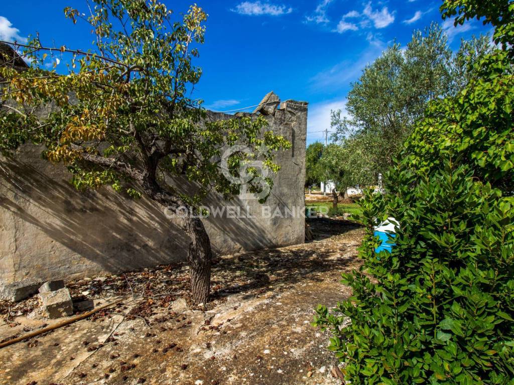 Rustico / casale a Ostuni in Contrada Casieddi - Foto 4