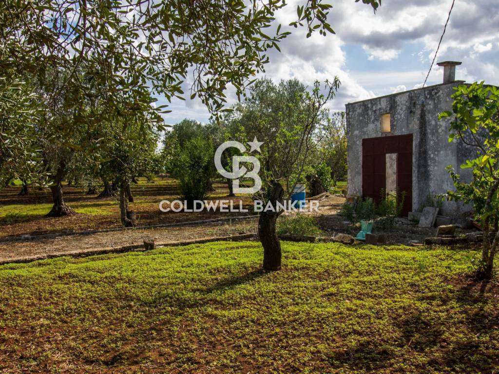 Rustico / casale a Ostuni in Contrada Casieddi - Foto 5