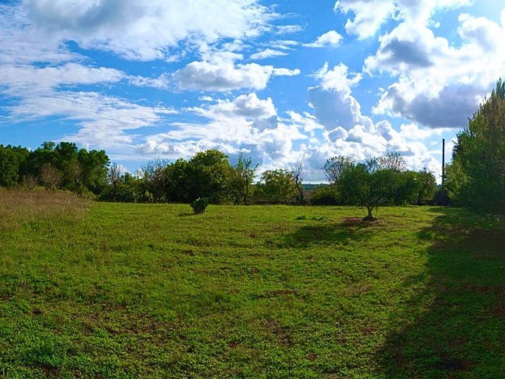 Rustico / casale a Ostuni in Contrada Galante - Foto 4