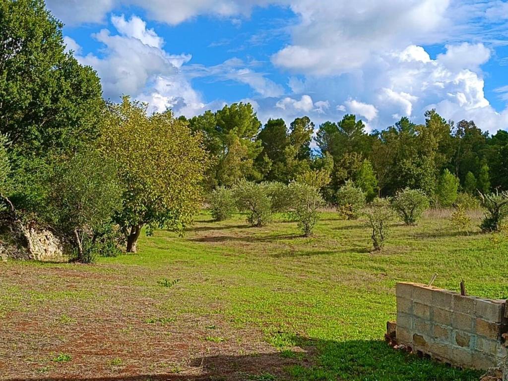 Rustico / casale a Ostuni in Contrada Galante - Foto 5