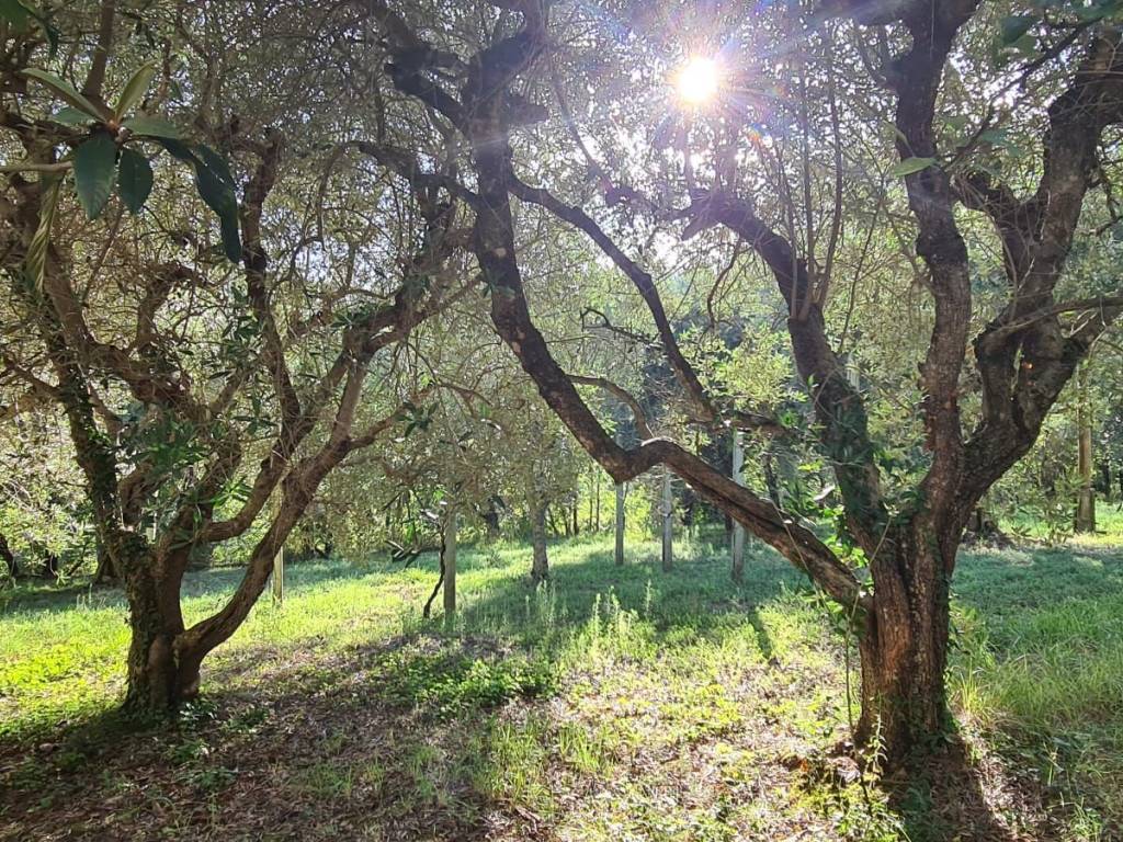 Villa a Treia in Via San Marco Vecchio - Foto 3