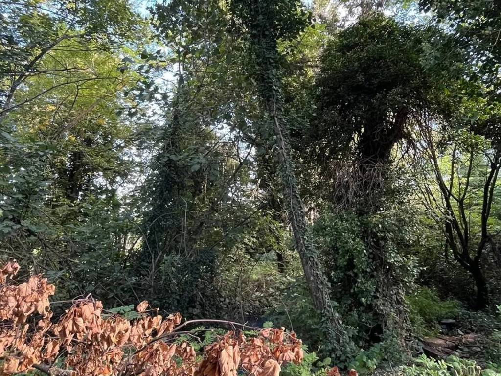 Villa a Rivanazzano terme in Via San Rocco, 12 - Foto 4